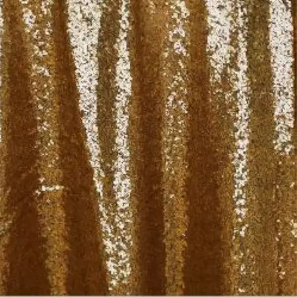 Sequin Backdrop 6