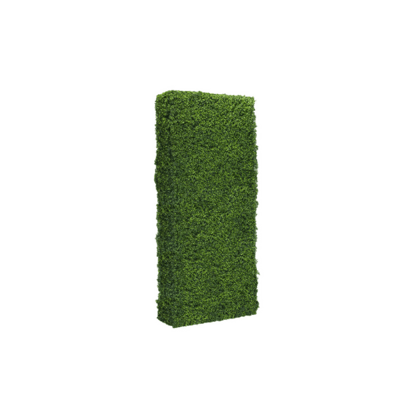 Boxwood Walls 2