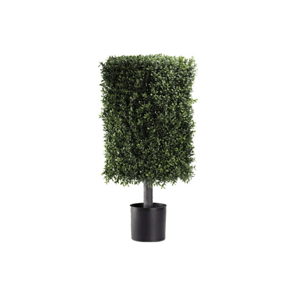 Boxwood Topiary