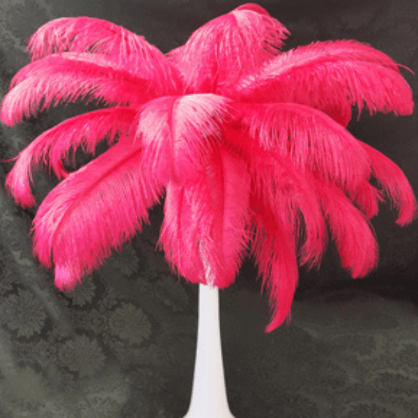 Ostrich Feathers 3