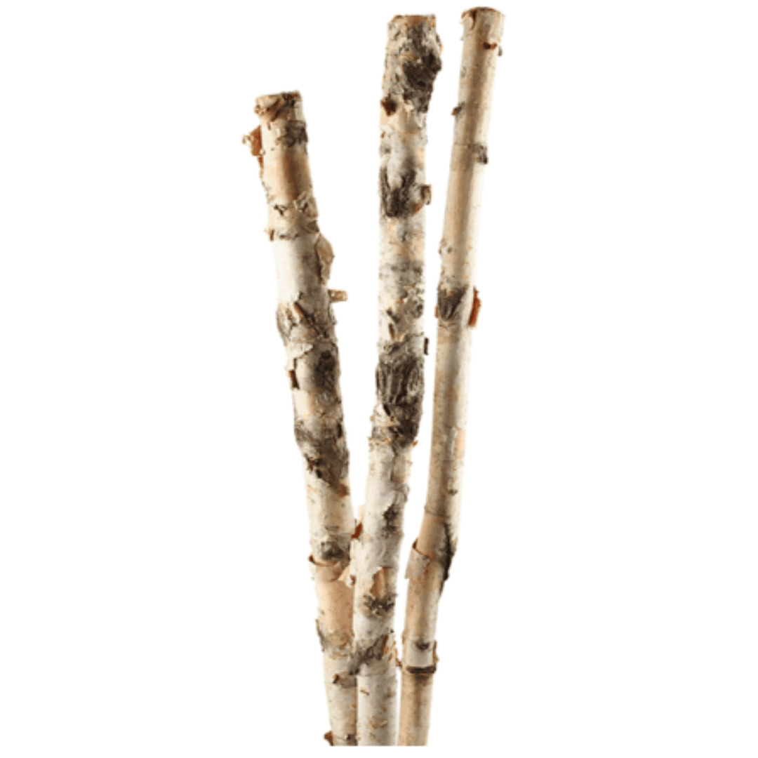 Birch Logs